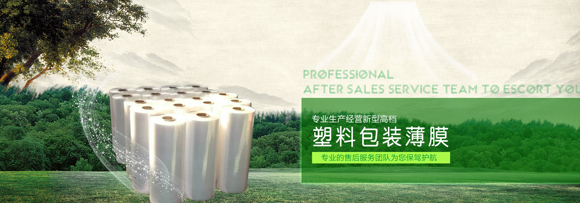 山東泰鵬智能家居股份有限公司